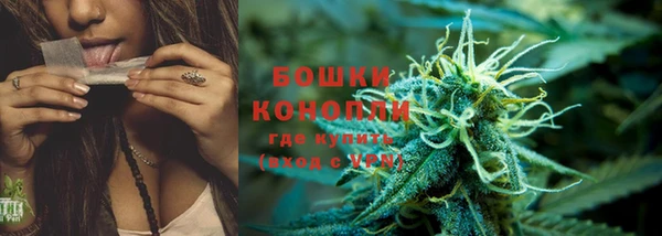 прущая мука Няндома