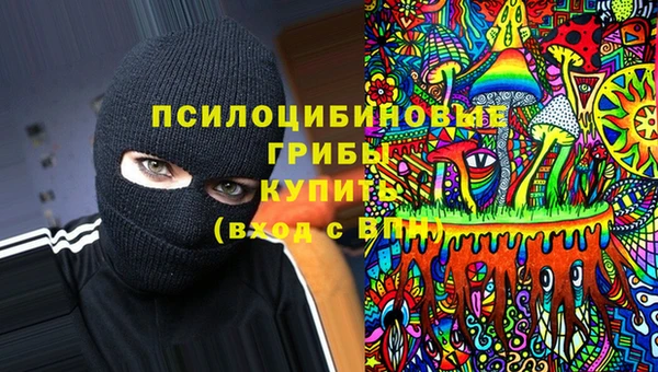 прущая мука Няндома