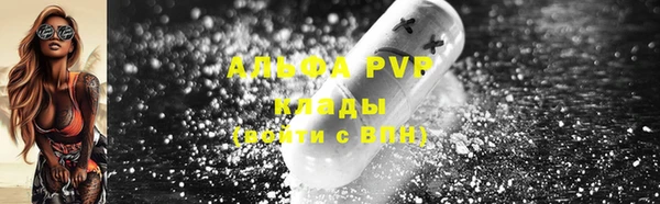 ECSTASY Осинники