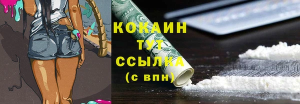 прущая мука Няндома