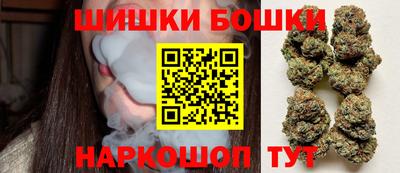 индика Балахна