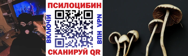 Псилоцибиновые грибы GOLDEN TEACHER  продажа наркотиков  Торжок 