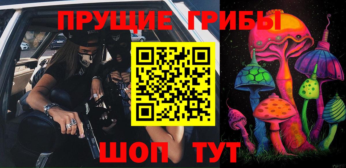 Псилоцибиновые грибы Cubensis Торжок