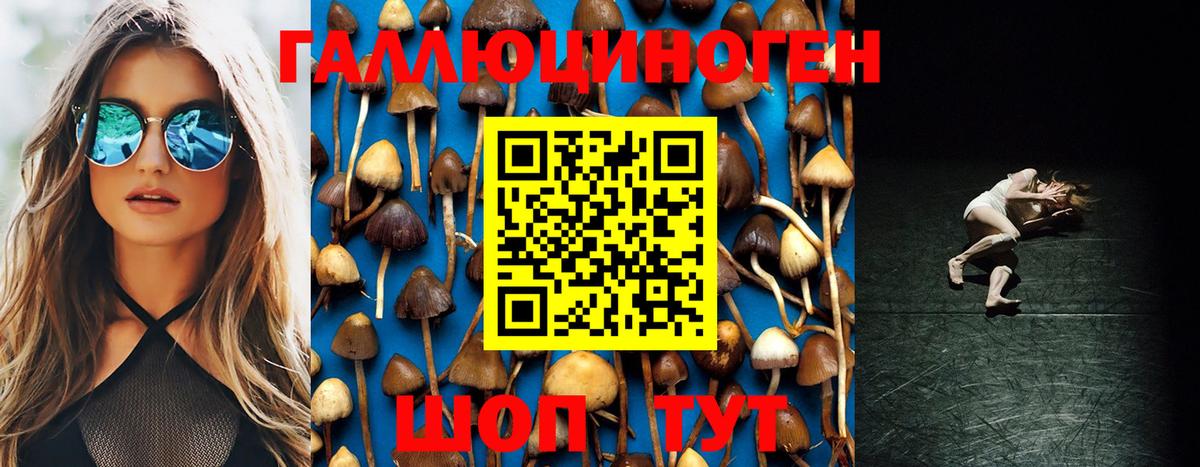 Галлюциногенные грибы GOLDEN TEACHER  Торжок 