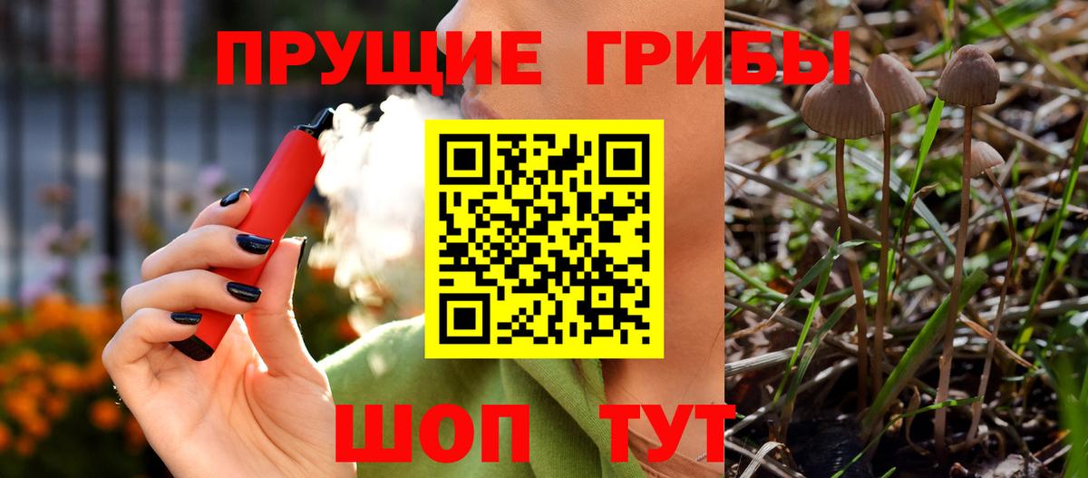 Псилоцибиновые грибы мицелий  Вход с VPN  Торжок  Галлюциногенные грибы Psilocybe 